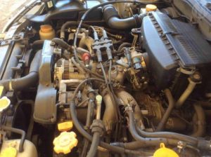 18716736_10155369937608011_903644711_n